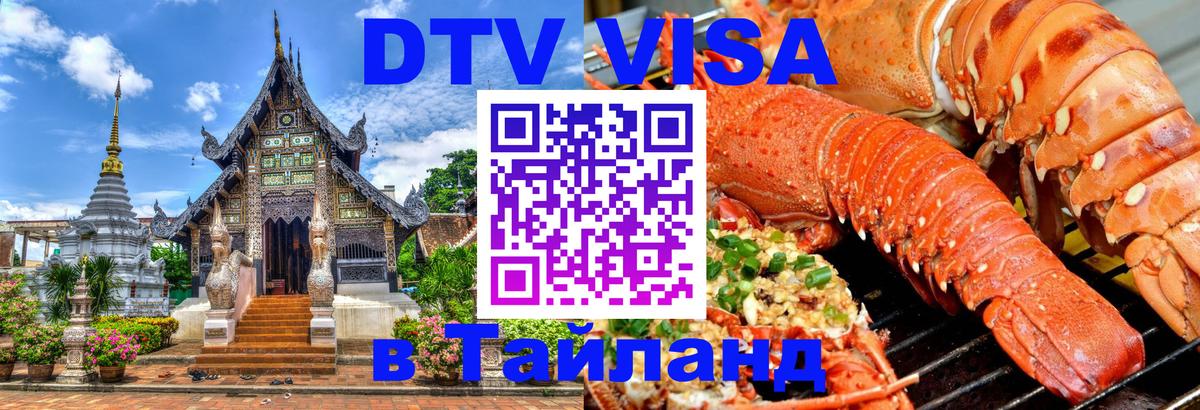 Оформление DTV визы под ключ: стоимость и тарифы, только загранпаспорт - Саранск 